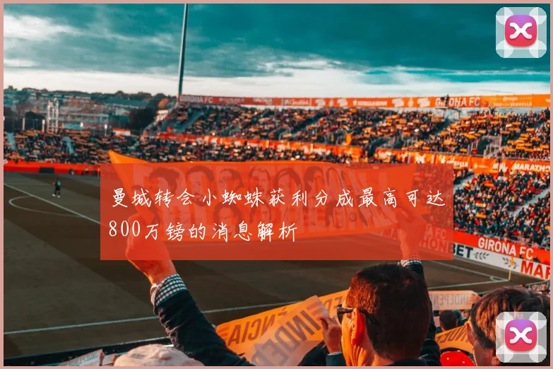 曼城转会小蜘蛛获利分成最高可达800万镑的消息解析